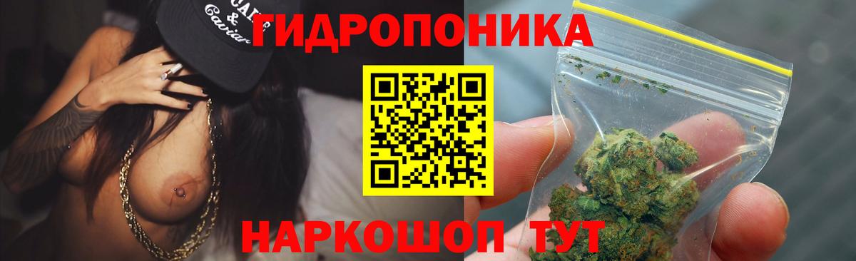 Марихуана сатива Тында